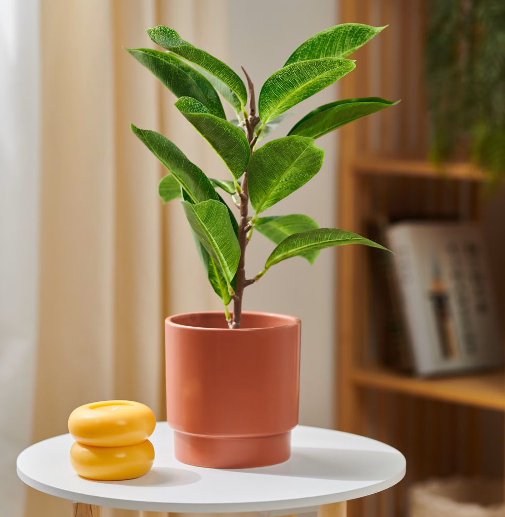 Idealna donica do Twojego salonu