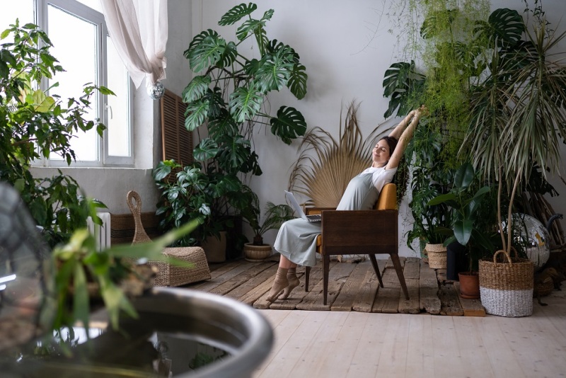 Salon z elementami botanicznymi: rośliny, naturalne materiały i ekologiczne dodatki